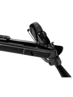 Gamo Roadster IGT Air Rifle-11