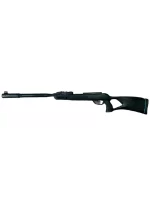 Gamo Roadster IGT Air Rifle