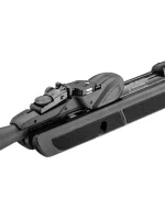 Gamo Roadster IGT Air Rifle-4