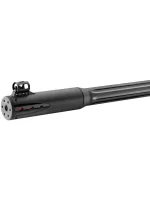 Gamo Roadster IGT Air Rifle-6
