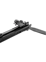 Gamo Roadster IGT Air Rifle-7