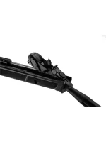 Gamo Roadster IGT Air Rifle-9